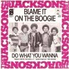 The Jacksons - Blame It on the Boogie